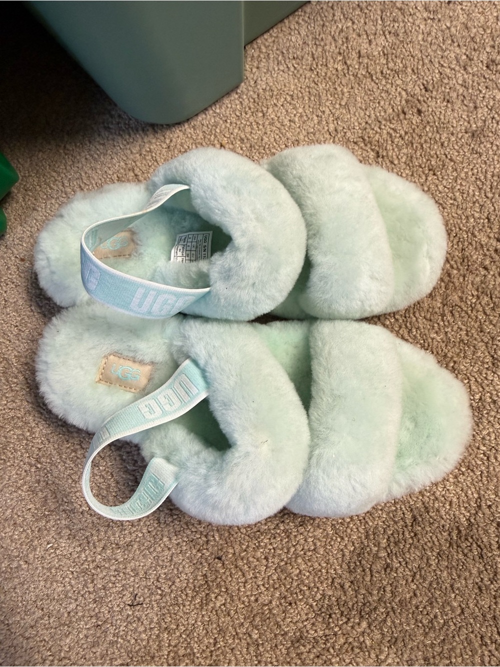 UGG Plush Slide Sandals in Mint